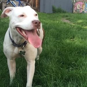 Meet your Posher, Joanna